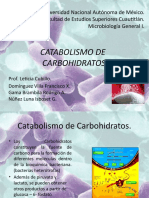 Catabolismo de Carbohidratos