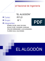 Diapositivas de La Expo algodon