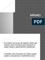 Rinones