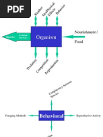 Modeling System Concept