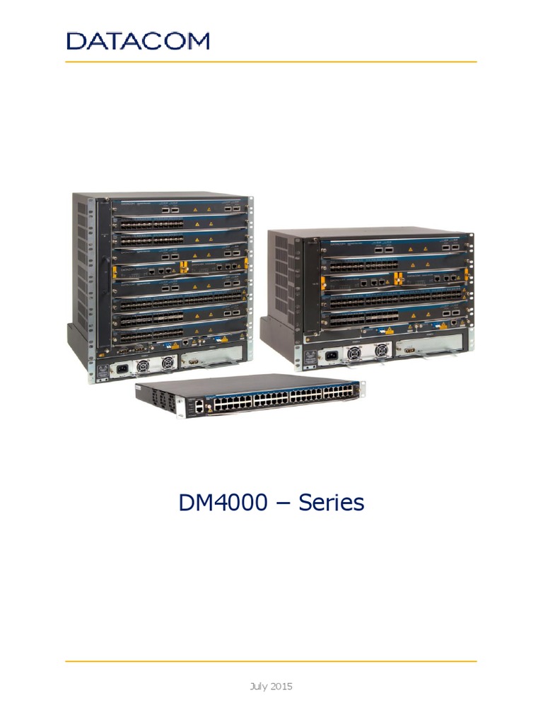 DM4000 Datasheet | PDF | Multiprotocol Label Switching | Networking