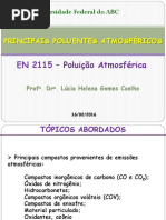 Principais poluentes