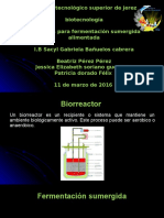 Sumergida Alimentada