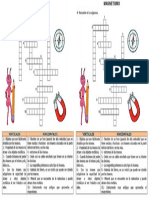 Crucigrama Del Magnetismo