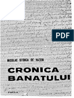 Nicolae Stoica de Hateg - Cronica Banatului