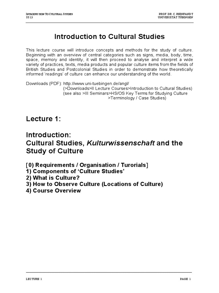 Introduction to Cultural Studies Concepts | PDF | Cultural Studies ...
