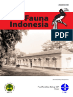 Fauna Indonesia-Conni