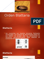 Orden Blattaria - Entomología