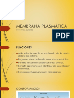 Membrana Plasmática PDF