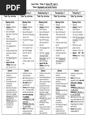 lesson plan  bugs