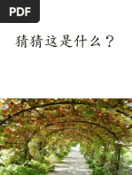 Senarai Pegawai Layak Pengesahan Dokumen Kakitangan Senarai Pegawai Layak Pengesahan Dokumen Kakitangan