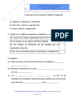 Actividades Funciones Ser Humano. Ficha 1 PDF