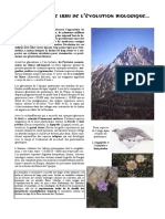 Patrimoine Pyrénées PDF