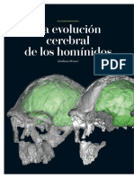 neuropaleontologia