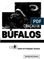 Criação de Bufalos