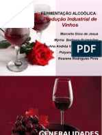Fermentação Alcoólica - Produção Vinhos