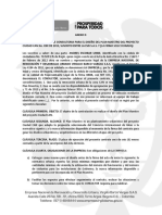 ANEXO D - Modelo de Contrato de Diseno Plan Maestro