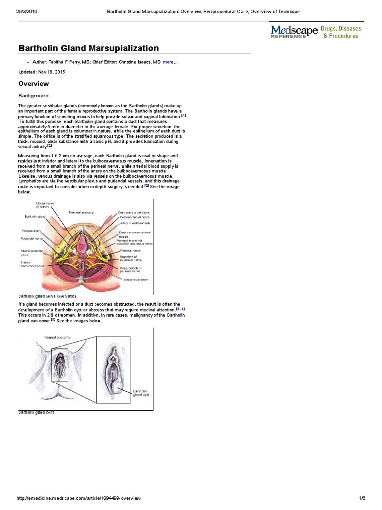 Bartholin Gland Diagram