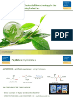 Examples of Industrial Biotechnology in The Chemistry-Using Industries