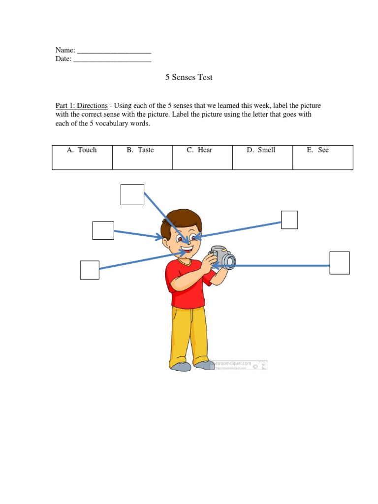Test Senses | PDF | Self-Improvement | Science & Mathematics