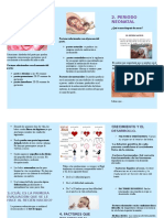 Tríptico Características Del Recien Nacido