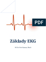 Základy EKG - Petr Haman PDF