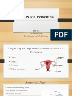 anatomia 123