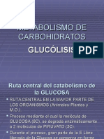 GLUCOLISIS