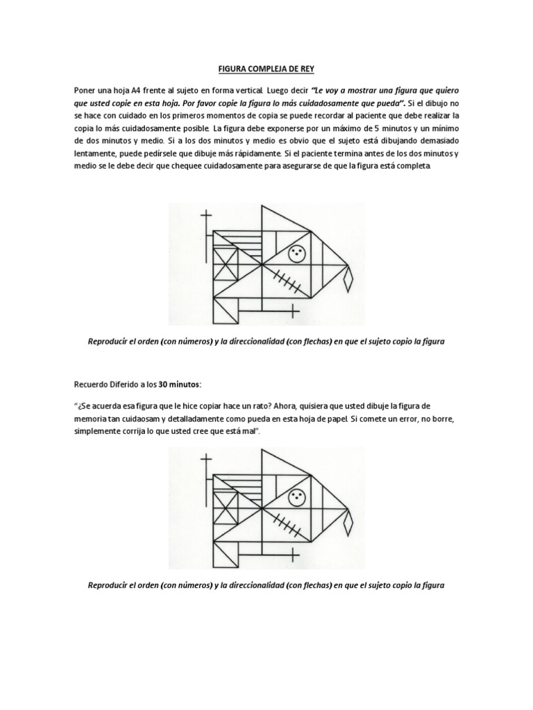 Figura Compleja de Rey | PDF