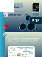 Proteínas Estructura Primaria