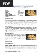 Download Ginger by katwesigyec SN30846839 doc pdf