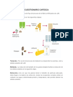 CUESTIONARIOS FRUTAS (1)