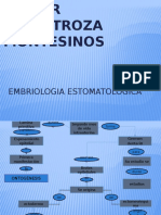 Embriologia Estomatologica