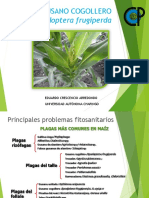 Etologia y Biologia de Gusano Cogollero PDF