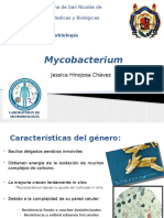 Mycobacterium