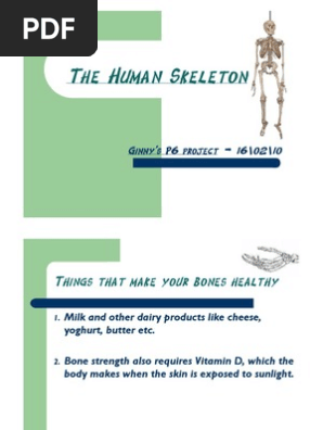 Skeleton