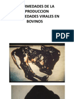 Virales Bovino PDF
