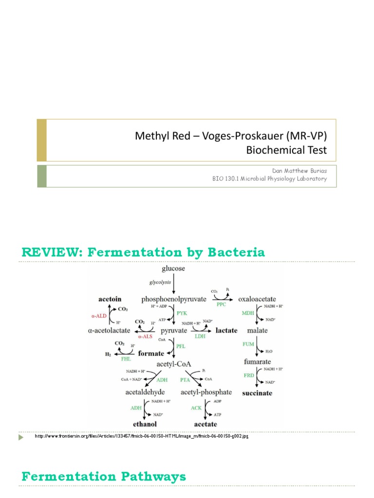 Mr Vp Test Purpose _ Methyl Red (MR) Test: Principle, Procedure, and ...