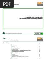 Guia Pedagogica de Gestion en Servicios de Enfermeria PDF