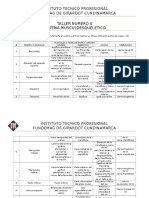 Taller Numero II - Docx Anatomia