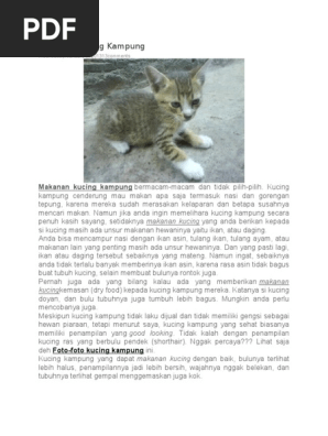 Makanan Kucing Kampung