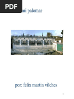 Mi Palomar