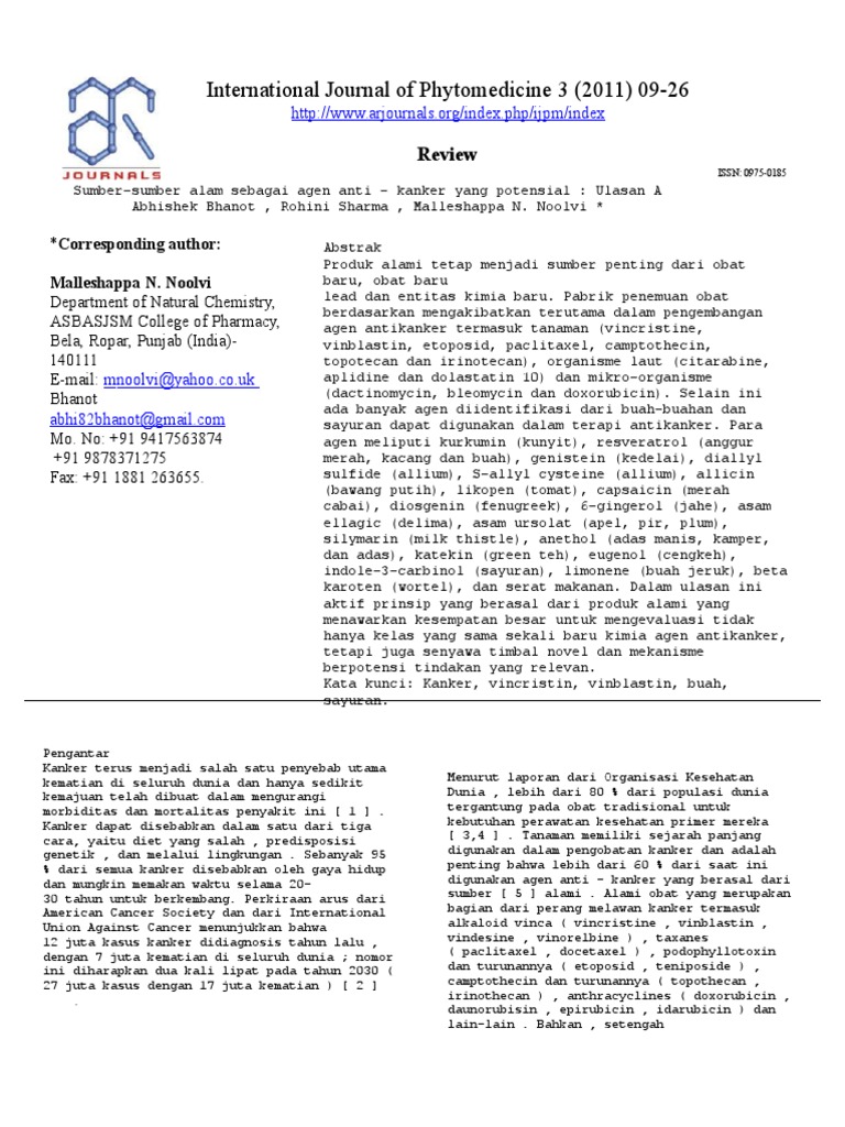 transelet jurnal internasional.doc
