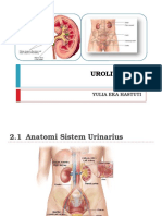 Batu Ureter