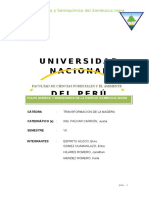 Pulpa Quimica y Semiquimica Del Sambucus Nigra