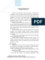 Download LP Diabetes Melitus by Satya Putra Lencana SN308611495 doc pdf