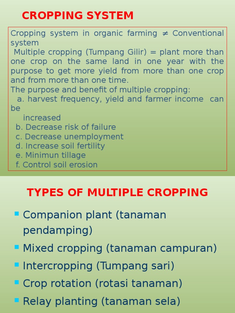 Understanding Crop Rotation Benefits | PDF | Crop Rotation | Legume