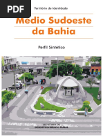Perfil_Médio Sudoeste da Bahia.pdf