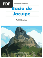 Perfil_Bacia do Jacuipe.pdf
