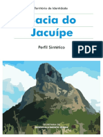Perfil_Bacia do Jacuipe.pdf